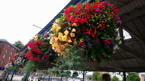 Hanging baskets full of summer flowers at the transit shed at Exeter Quay