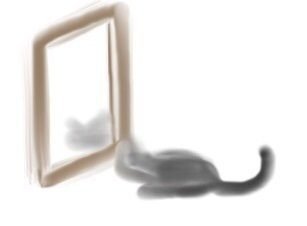 Draft mirror image with a cat, using an iPad