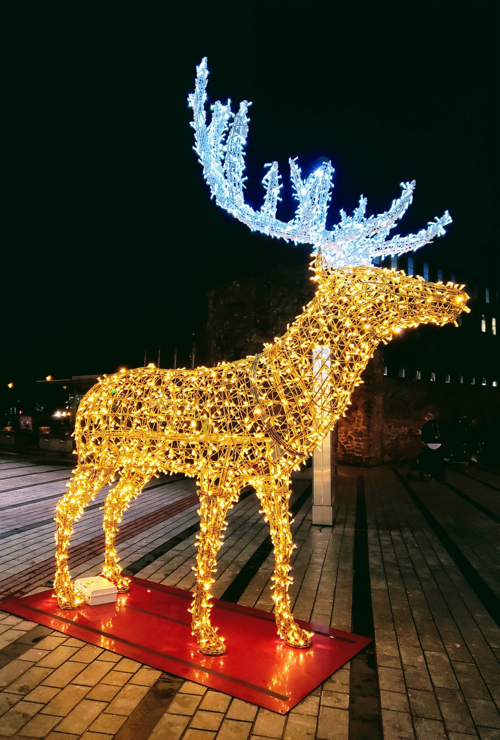 Lighted Christmas Reindeer Decoration 