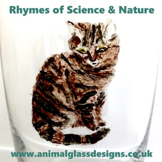 New podcast name Rhymes of Science and Nature with my website cat logo.