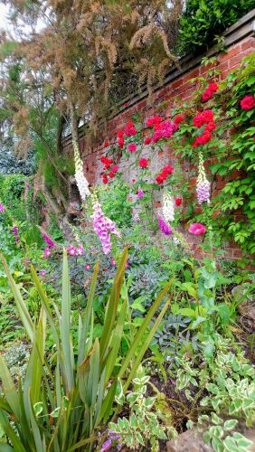 Garden with summer flowers including roses, foxgloves